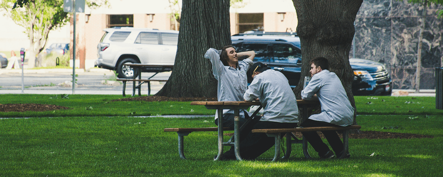 6 ft Rectangular Picnic Table Seating Capacity - How Many People Can Sit at a Picnic Table